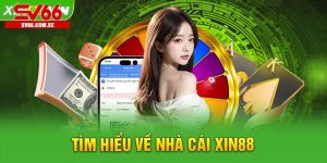 Giới thiệu về nhà cái xin88 2