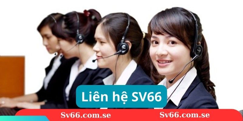 liên hệ sv66 1